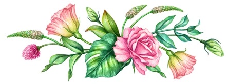 watercolor-botanical