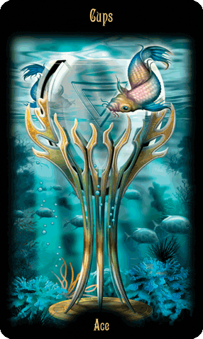Ace of Cups. 
