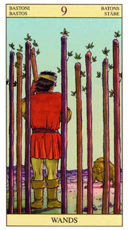 Nine of Wands. New Vision Tarot