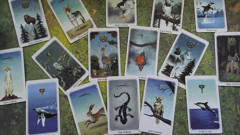 What Do Numbers Mean in Tarot