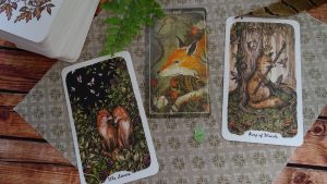 Tarot Symbol: The Fox